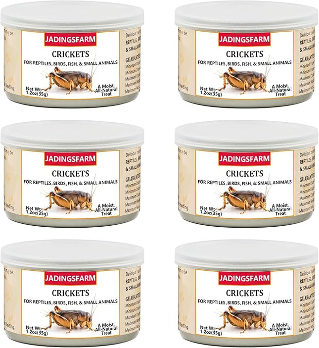 6 Pack Canned Crickets for Reptiles, Fish, Birds and Small Animals, Crickets, Healthy High Protein Treat, Reptile Bird Fish Food 1.2 Ounces Each