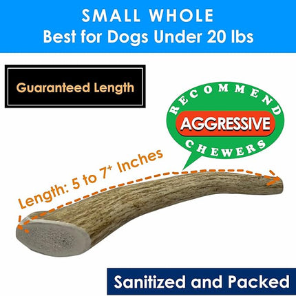 6-Pack Small Whole Elk Antler Dog Chews (5 to 7+ in) – Long Lasting Natural Dog Chew Bones for Small Dogs Under 20 lbs, Aggressive Chewers, Teeth Cleaning, No Rawhide