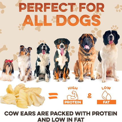 BRUTUS & BARNABY Cow Ears for Dogs – Whole Ears 100 ct, Thick Cut, Grass-Fed Angus Beef, All-Natural No-Rawhide Dog Treat Alternative