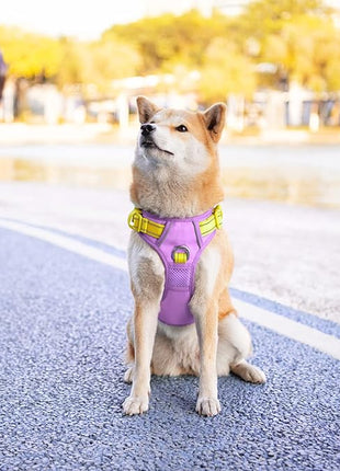 PHOEPET No Pull Dog Harness, Unique Colors Reflective Adjustable Dog Vest, with Soft Training Handle Metal Clips for Small Medium Large Dogs (Baby Purple Base & Yellow Straps,M)