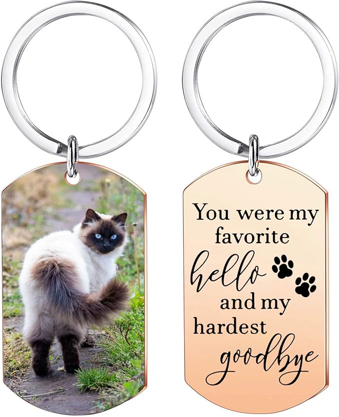 Funnylife Personalized Pet Memorial Keychain for Cats Stainless Steel Custom Pet Photo Memory Keepsake Loss of Cat Sympathy Gifts Cat Pass Away Gifts