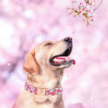 Elegant little tail Dog Collar, Pink Floral Pattern Pet Collar Durable Cute Dog Collars Summer Female Pet Gift Adjustable Dog Collar for Large Dogs