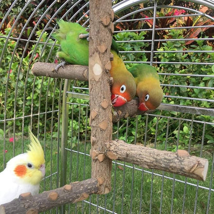Bird Perch Nature Wood Stand for 3-4pcs Small Medium Parrots (S)