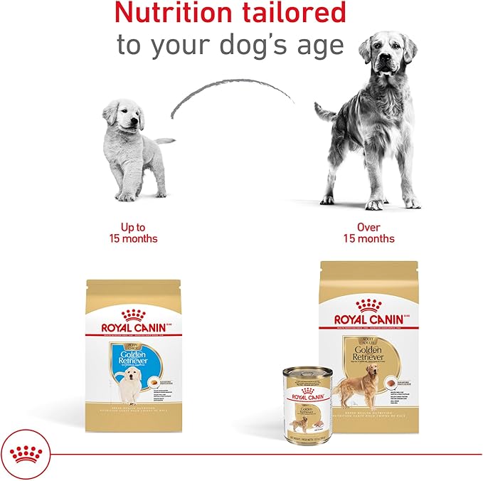 Royal Canin Golden Retriever Loaf in Sauce Canned Dog Food, 13.5 oz can (12-count)