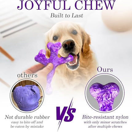 Dog Chew Toys for Aggressive Chewers: Dog Chew Toys 4 Pack Beef Flavored Indestructible Toy for 20-70 lbs Medium and Large Dogs, Tough Nylon Chew Bone & Easy to Clean, Keeps Dogs Busy