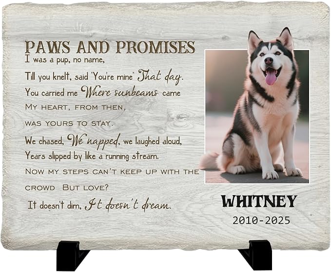 Personalized Pet Memorial Stone, Custom Dog Memorial Gifts for Loss of Dog with Photo Name Date, Dog Remembrance Gift, Loss of Dog Sympathy Gift for Dog Cat Lovers (Quote 15)
