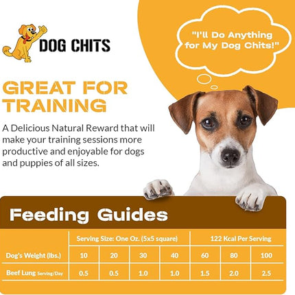 Dog Chits Beef Lung Fillets Dog and Puppy Treats - All Natural Grain and Chemical Free Training Chews - High Protein and Low Fat - Supports Dental Health - Made in The USA - Large 5 oz Bag