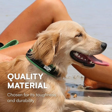 Black Rhino Dog Collar for Medium Dogs - Adjustable Reflective Heavy Duty Dog Collar with Ultra-Soft Neoprene Padding - Weatherproof, Durable, and Comfortable - Ideal for Active Dogs - Green and Black