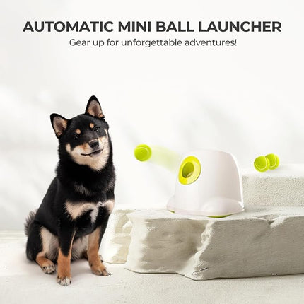 ALL FOR PAWS Automatic Ball Launcher for Dogs Interactive Puppy Pet Ball Indoor Thrower Fetch Machine, 3 Balls Included (2 inch) for Small to Medium Dogs