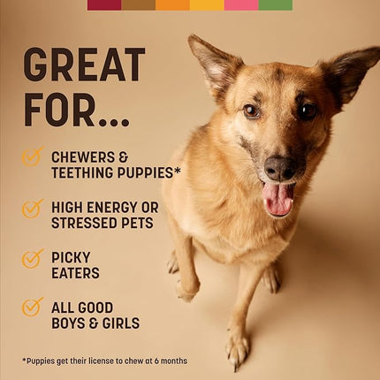 Earth Animal No Hide Chews - From the Grill Rolls Grilled Cheese Vegetarian Flavor Rawhide Free Medium Dog Chews - 3 Count