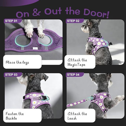 EXPAWLORER Small Dog Harness and Leash Set - Cute Spring Puppy Harness Leash Dog Collar with AirTag Holder Silicone Case, Soft Padded Step in Pet Vest Reflective for Outdoor Walking, Purple Daisy M
