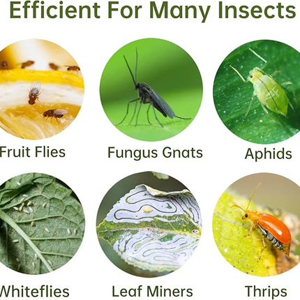 96 Pack Fruit Fly Trap for Indoors, Fungus Gnat Killer Indoor Sticky Traps for Mosquito, Bug Insect Catcher Killer for Houseplant