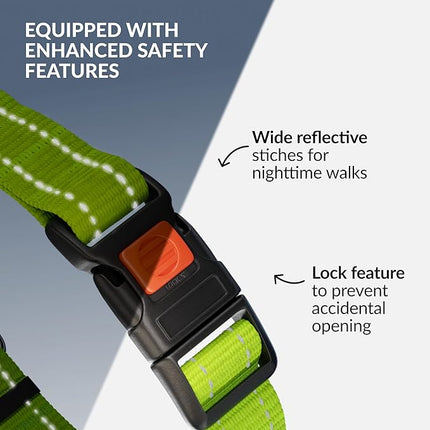 CollarDirect Martingale Dog Collar with Stainless Steel Chain and Quick Release Buckle - Reflective Collar for Large, Medium, Small Dogs - Lime Green, Medium (Neck Size 14"-17")