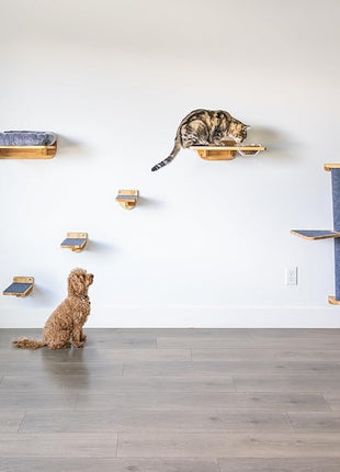 Cat Wall Shelves – Cat Wall Climber with Scratching Post, Removable Bed, Climbing Steps, and Feeding Terrace with Glass Bowls, Waterproof Rubberwood Pet Furniture