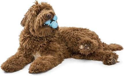 WEST PAW Zogoflex Tux Interactive Treat Dispensing Dog Chew Toy for Aggressive Chewers, 100% Guaranteed Tough, It Floats!, Made in USA, Large, Aqua