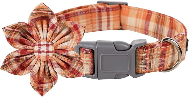 Lionet Paws Fall Dog Collar with Orange Flower, Plastic Buckle for Puppy Small Dog Girl Female Halloween Thanksgiving Day Gift,M,13.5-22 in