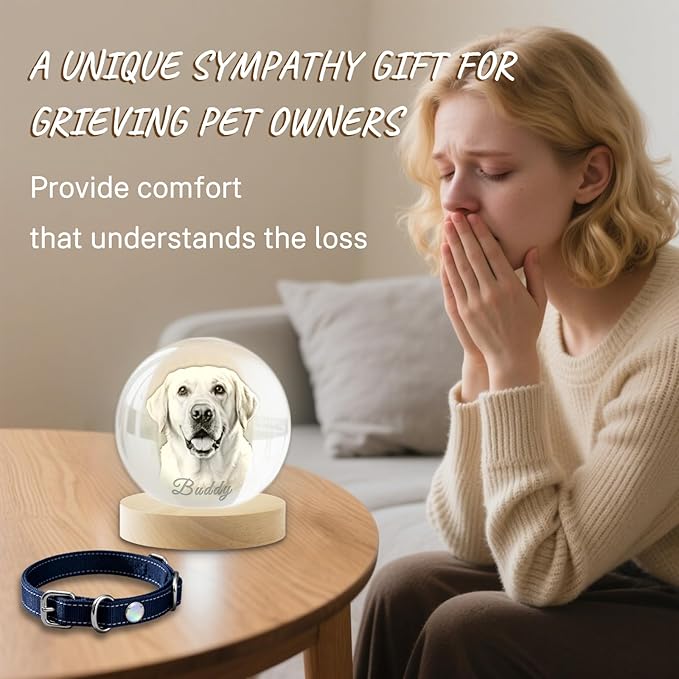 Personalized 3D Pet Memorial Gift for Dog or Cat - Custom Photo in Crystal with Optional Light Base, Unique Loss Keepsake (S/M/L)