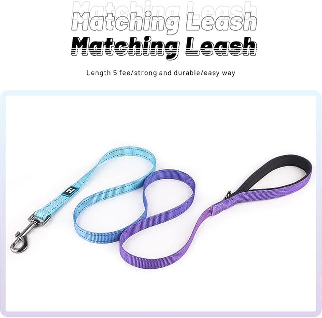 Roses&Poetry Reflective Small Dog Collar and Leash Set, Puppy Collars and Leashes with Gradient Violet, Adjustable Durable Nylon Soft Pet Leash and Collar for Girl and Boy Dogs （Violet-S