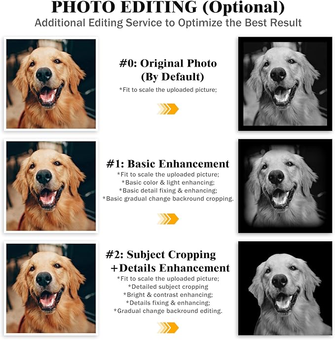 HDSD 12x6'' Personalized Pet Memorial Stones Black Granite Headstones for Dogs Laser Engraved with Photo (Pets)