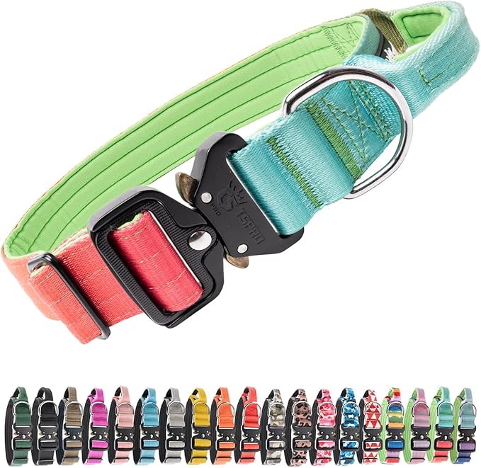 TSPRO Premium Dog Collars Tactical Dog Collar with Handle and Heavy Duty Quick-Release Metal Buckle Durable Thick and Adjustable for Medium to Large Dogs (Vitality Gradient L)