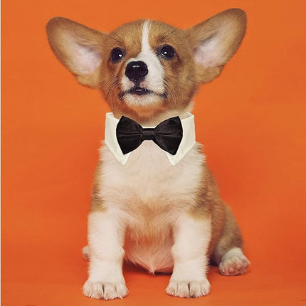 Dog Bowtie, KOOLMOX Tux Dog Collar for Weddings with Handcrafted Adjustable White Collar and Black Tie, Classic Neck Tie for Small to Medium Dogs Cats Puppies Valentine's Costumes