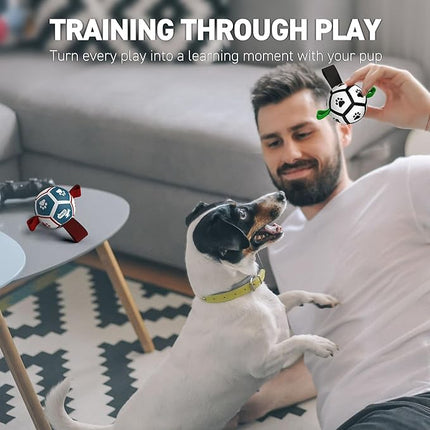 QDAN 2 Pack Small Dog Toys, 3.5 Inch Puppy Balls, Dog Balls with Straps for Small Breed, Soccer Ball for Dogs, Puppy Toys, Dog Birthday Gift