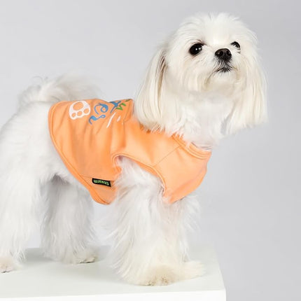 Fitwarm Happy Easter Bunny Dog Shirt, Easter Dog Clothes for Small Dogs Boy Girl, Cute Pet Outfit, Green, Blue, White, Orange, XXL