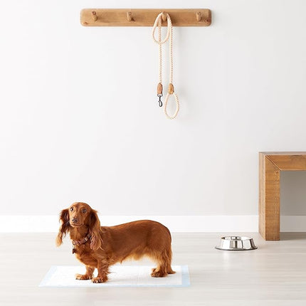 Amazon Basics Heavy Duty Dog and Puppy Pee Pads, 5-Layer Leak-Proof Ultra Absorbent, Quick-Dry Surface, Potty Training, Regular (24x23"), 80 Count, Blue & White