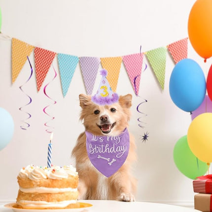 BINGPET Dog Birthday Bandana Scarf and Reusable Hat with 0-8 Figures,Cute Puppy Dog Birthday Outfit Party Supplies Gift for Small Medium Large Dogs Girl(Large)