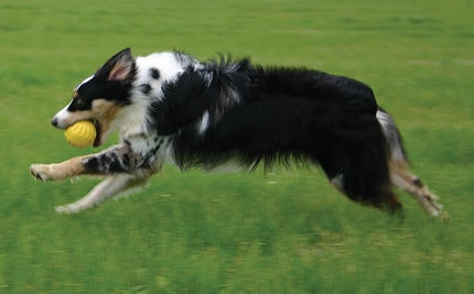 Fantastic Foam Large Ball, Colors Vary