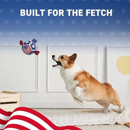 QDAN Puppy Balls, Dog Toys, Dog Balls with Straps for Small Breed, Soccer Ball for Dogs, Puppy Toys, Dog Birthday Gift (Flag, 3.5 inch)