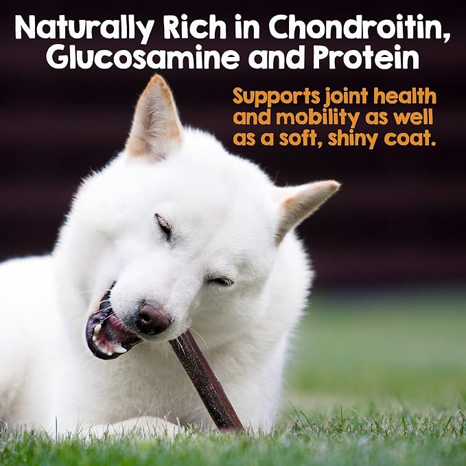 Riley's 12 Inch Beef Collagen Sticks for Dogs, Collagen Chews for Dogs, Bully Stick & Rawhide Alternative, Long Lasting, No Raw Hide Chews, Single Ingredient Dog Treat - 5 ct