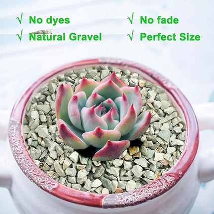 5lb Succulents and Cactus Green Zeolite, Décor & Additive Rocks, Natural Decorative Gravel for Bonsai, Fairy Gardening, DIY Projects, Vases Fillers, Terrarium