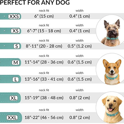 CollarDirect Rolled Leather Dog Collar, Soft Padded Round Puppy Collar, Handmade Genuine Leather Collar Dog Small Large Cat Collars 13 Colors (11-14 Inch, Mint Green Smooth)