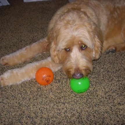 Spunky pup Fetch & Glow Ball Dog Toy | Glowing Logo Toss Balls for Large Dogs | Indoor & Outdoor Active Play | Durable | Waterproof & Floats | Non Toxic | Assorted Colors | For Large Dogs