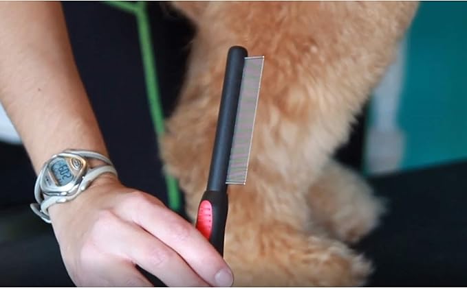 Ryan's Pet Supplies Paw Brothers Flea Comb for Small and Large Dogs and Cats with Handle, Professional Dog Grooming Kit and Supplies, Puppy Essentials, Black and Red, 8.8 Inches