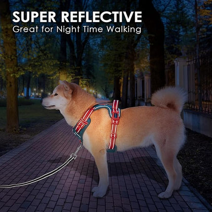 PHOEPET No Pull Dog Harness, Unique Colors Reflective Adjustable Dog Vest, with Soft Training Handle Metal Clips for Small Medium Large Dogs (Teal Base & Red Straps,S)