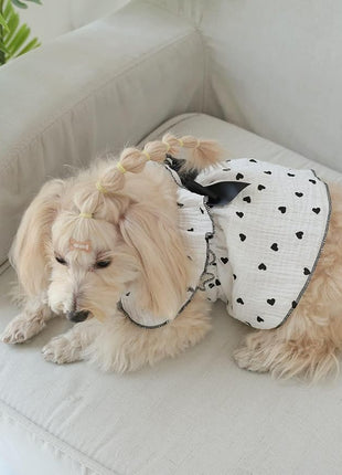 QWINEE 2 Piece Cute Heart Pattern Dog Dress Ruffle Trim Princess Dress Cat Vest Dress Lace Trim Summer Dress Pet Clothes for Small Medium Cats Dogs Kitten Puppy Multicolor A X-Large