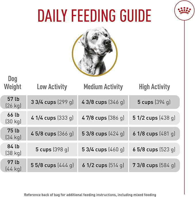 Royal Canin Breed Health Nutrition Labrador Retriever Adult Dry Dog Food, 17 lb Bag