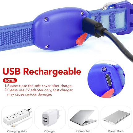 Light up Collar for Small Dog,Vizpet XS Adjustable Size Nylon Collar USB Rechargeable Bright Safety Pet Collar for Cats Small Dogs (Blue, X-Small[ 8.66-11.9 inch/22cm-30cm])