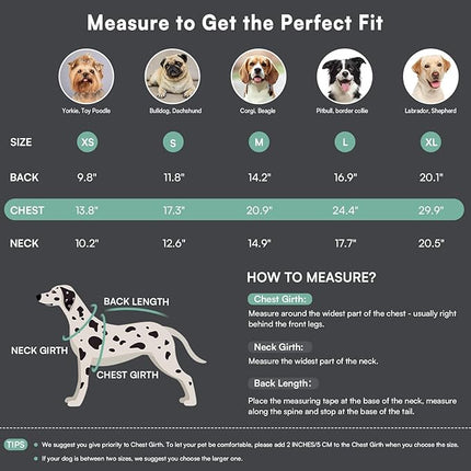 Queenmore Warm Dog Winter Coat, Cold Weather Waterproof Snow Jacket with Reflective Hoodie, Long Sleeves for Small to Large Dogs