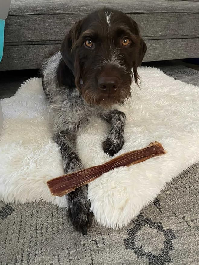 hotspot pets Beef Esophagus Dog Treats (6 INCHES - 25 Count) Grass Fed with No Added Hormone, All Natural Jerky Dog Treats - Chews Rich in Glucosamine & Chondroitin for Joint Health