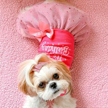 Fitwarm It's My Birthday Dog Dress - Pink, Small Dog Girl's Funny Birthday Dress with Bowknot