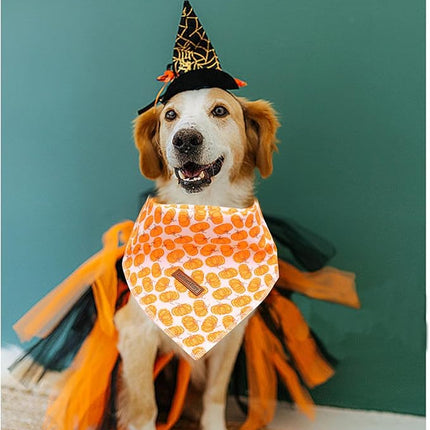 Lionheart Glory Fall Dog Bandana - Halloween Pumpkin Washable Soft Dog Scarf Adjustable for Small Dogs