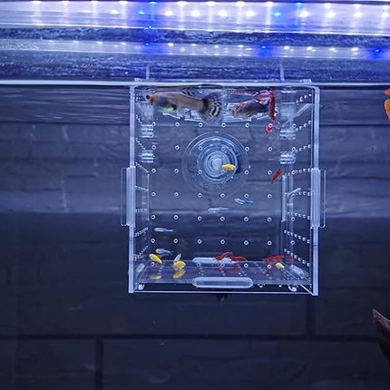 Acrylic Fish breeding Box, Acrylic Fish Isolation Box, Fish Separator for Aquarium, Hatchery Incubator with Suction Cups for Small Baby Fishes Shrimp Clownfish Guppy (3.9 * 3.9 * 3.9inch)