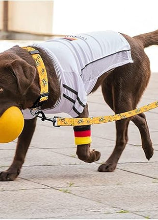 Roses&Poetry Dog Collar with Colourful Bee Patterns, Adjustable Durable Puppy Collars for Small Medium Large Dogs (Bee-XS)