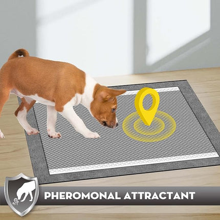 CROCI Charcoal Puppy Pads 23"x24" Standard Size, Odor-Control Carbon Dog Training Pads Absorbs Up to 4 Cups of Liquid, 6-Layer Leak-Proof & Quick Dry Pee Pads for Dogs, Disposable (100 Counts)