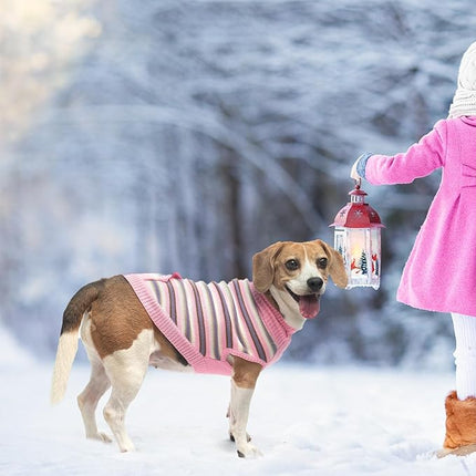 BINGPET Turtleneck Dog Sweater for Small Medium Large Dogs Boy or Girl,Warm Knitted Pullover Pet Sweaters,Colorful Striped Puppy Sweater with Cute Pocket,Great Gift for Pet in New Year(Pink,XS)