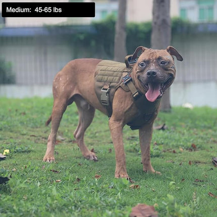 ICEFANG Tactical Dog Harness, Medium Size,2X Metal Buckle,Working Dog MOLLE Vest with Handle,No Pulling Front Leash Clip,Hook and Loop Panel (Brown,M (Pack of 1))