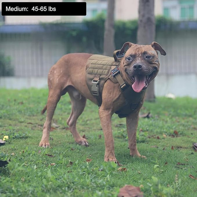 ICEFANG Tactical Dog Harness, Medium Size,2X Metal Buckle,Working Dog MOLLE Vest with Handle,No Pulling Front Leash Clip,Hook and Loop Panel (Brown,M (Pack of 1))